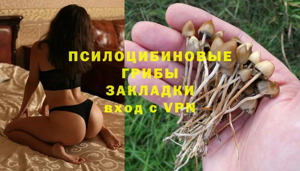МДМА Карпинск