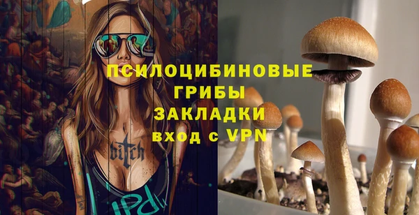 мескалин Касимов
