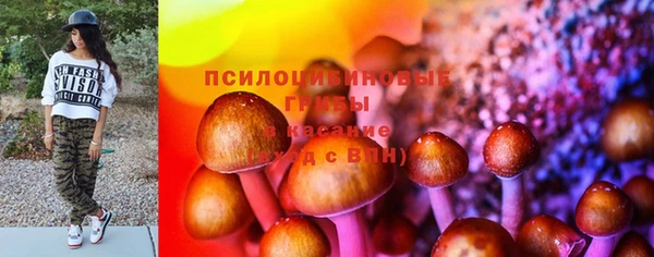 мескалин Касимов